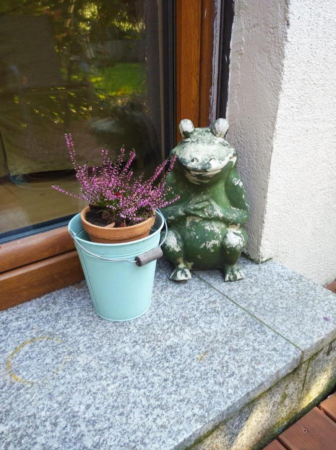 弗罗茨瓦夫马洛夫公寓 外观 照片